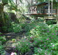 Treetops Montville - Accommodation Port Macquarie