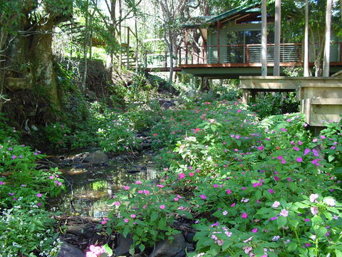 Treetops Montville - Accommodation Port Macquarie 0