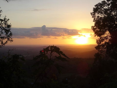 Treetops Montville - Accommodation Port Macquarie 3