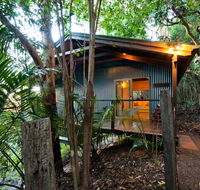 Treetops Seaview Montville - Accommodation Port Macquarie