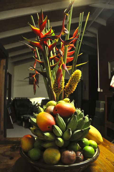 Tropical Bliss Bed And Breakfast - Accommodation Port Macquarie 3