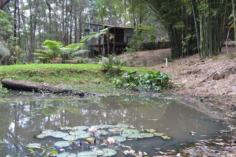 Turmeric Gardens - Accommodation Port Macquarie 3