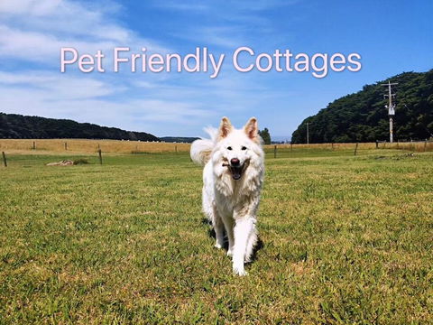 Twelve Apostles Motel & Country Retreat - Accommodation Port Macquarie 2