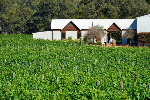 Upper Reach Spa Cottage - Accommodation Port Macquarie 0