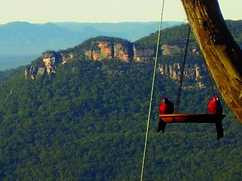 Valley Of The Waters B&B - Accommodation Port Macquarie 3