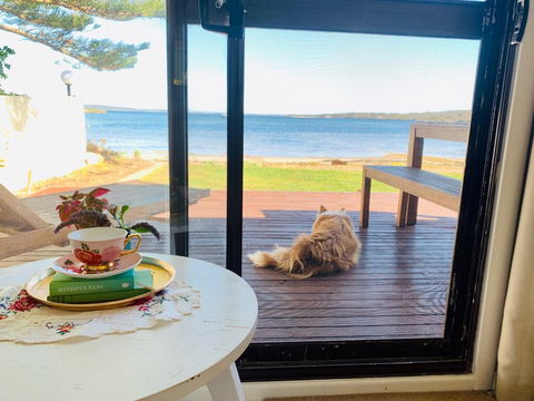 Vandy's Shack At Mount Dutton Bay - Ideal For Couples And Small Families - Accommodation Port Macquarie 3