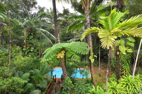 Wait A While Daintree - Accommodation Port Macquarie 3