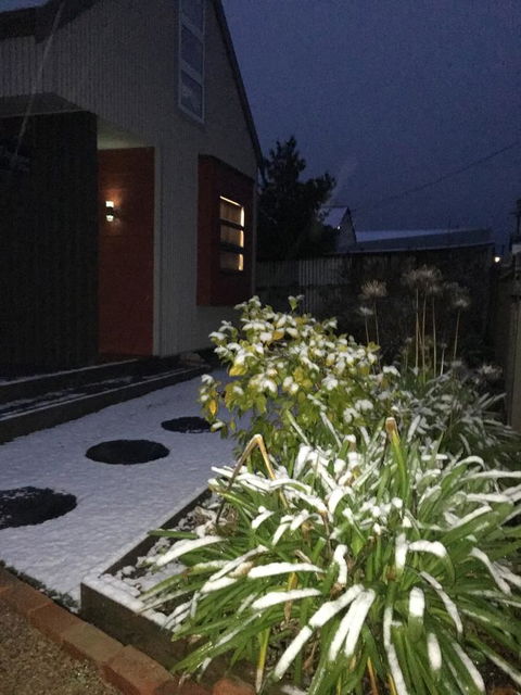 Daydream Cottage - Accommodation Port Macquarie 17