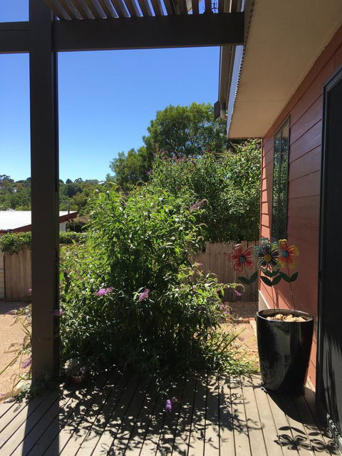 Daydream Cottage - Accommodation Port Macquarie 10