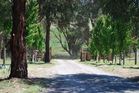 Bluegum Ridge Cottages - Accommodation Port Macquarie 3