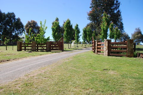 Bluegum Ridge Cottages - Accommodation Port Macquarie 2