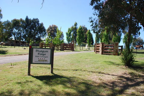 Bluegum Ridge Cottages - Accommodation Port Macquarie 1