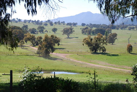 Bluegum Ridge Cottages - Accommodation Port Macquarie 31
