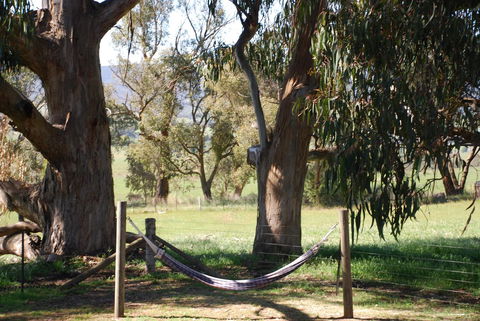 Bluegum Ridge Cottages - Accommodation Port Macquarie 28