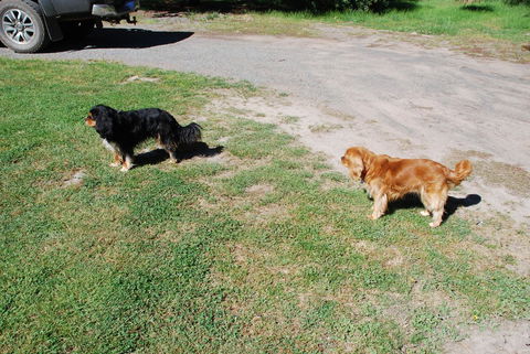 Bluegum Ridge Cottages - Accommodation Port Macquarie 6