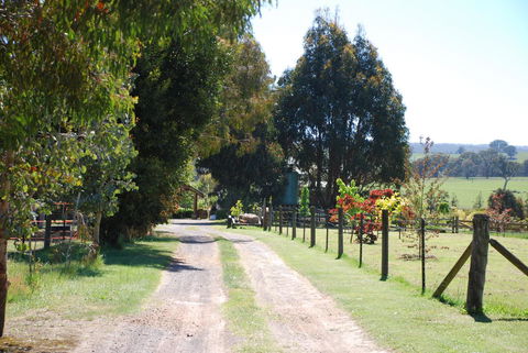 Bluegum Ridge Cottages - Accommodation Port Macquarie 4