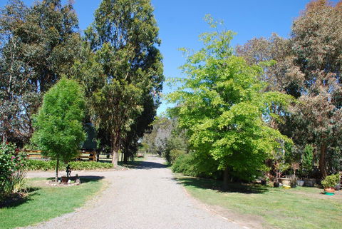 Bluegum Ridge Cottages - Accommodation Port Macquarie 5