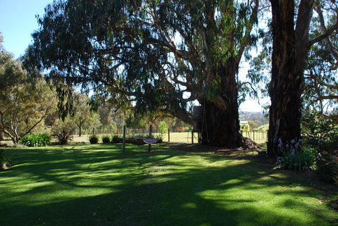 Bluegum Ridge Cottages - Accommodation Port Macquarie 29