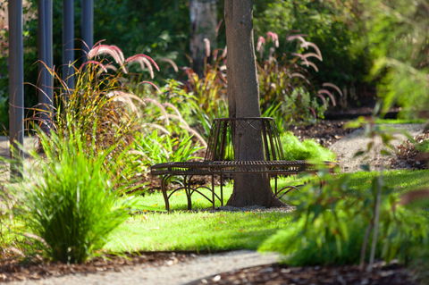 Blazing Stump Motel & Suites - Accommodation Port Macquarie 35