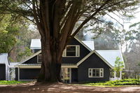 The Orchard