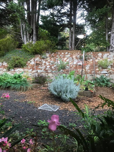 Alpine Aspects - Accommodation Port Macquarie 11