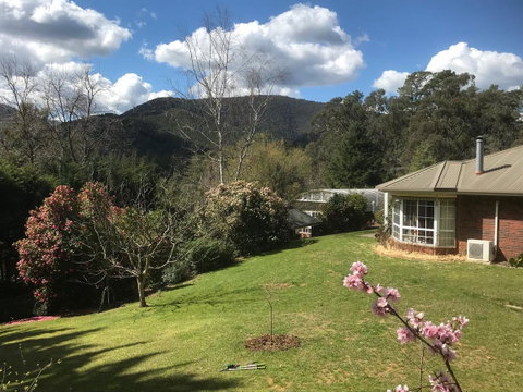 Alpine Aspects - Accommodation Port Macquarie 23