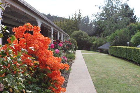 Alpine Aspects - Accommodation Port Macquarie 34