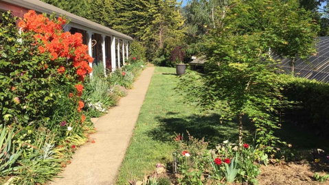 Alpine Aspects - Accommodation Port Macquarie 4