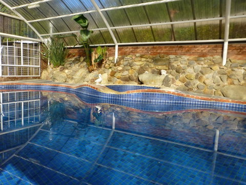 Alpine Aspects - Accommodation Port Macquarie 39
