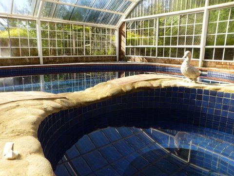 Alpine Aspects - Accommodation Port Macquarie 38
