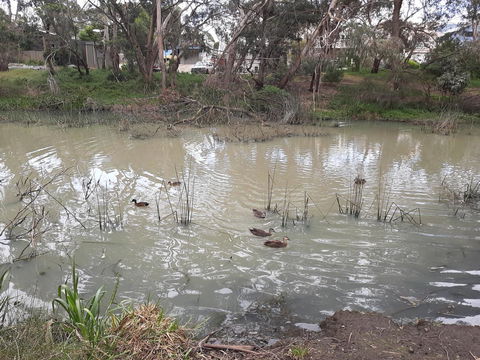 Elevated Holiday House Overlooks Tranquil Wetlands - Accommodation Port Macquarie 12