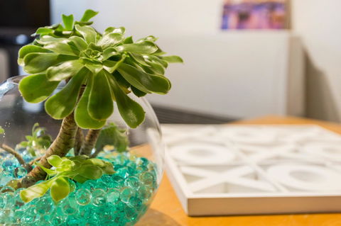 Melbourne Villa - Accommodation Port Macquarie 15