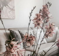 Bed of Roses - Accommodation Port Macquarie
