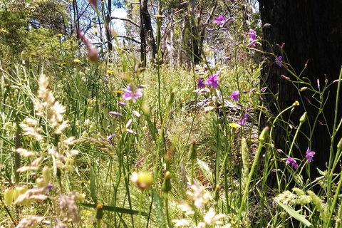 Grampians Pomonal Cottages - Accommodation Port Macquarie 31