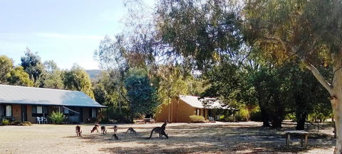 Grampians Pomonal Cottages - Accommodation Port Macquarie 6