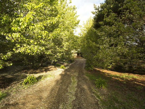 Angel's Rest - Accommodation Port Macquarie 0