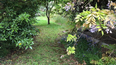 Lorelei Bed & Breakfast - Accommodation Port Macquarie 10