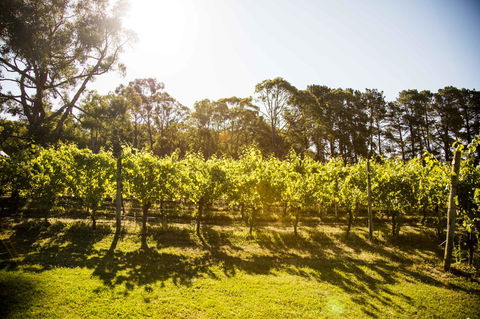 Polperro Villas - Accommodation Port Macquarie 18