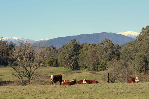 3 Bells Alpine Cottage - Accommodation Port Macquarie 21