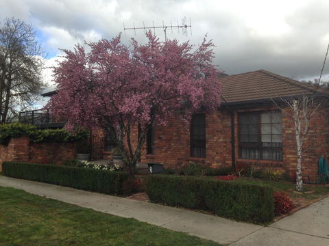 Bricks And Roses - Accommodation Port Macquarie 1