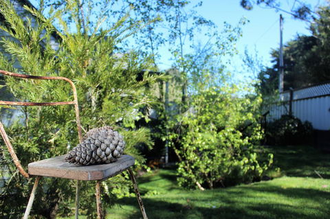 Cottage 4A - Accommodation Port Macquarie 13