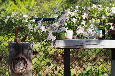 Cottage 4A - Accommodation Port Macquarie 4