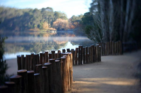 Minni Gums - Accommodation Port Macquarie 4