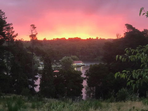 Minni Gums - Accommodation Port Macquarie 2