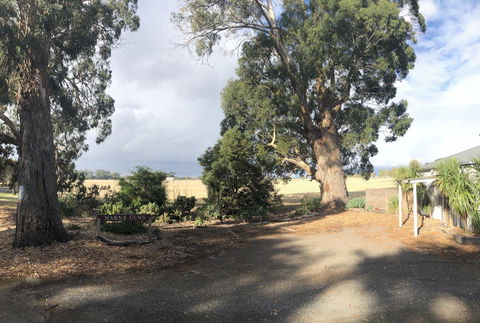 Minni Gums - Accommodation Port Macquarie 18