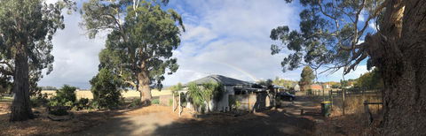 Minni Gums - Accommodation Port Macquarie 11