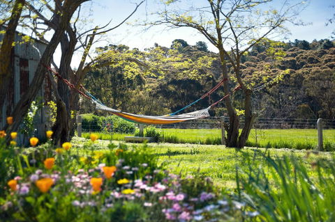 Cabrito - Accommodation Port Macquarie 3
