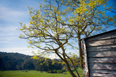 Cabrito - Accommodation Port Macquarie 9
