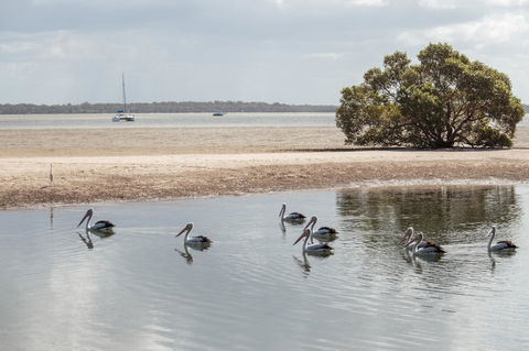 BIG4 Breeze Holiday Parks - Rainbow Beach - Accommodation Port Macquarie 32