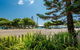 Plantation Resort At Rainbow - thumb 9